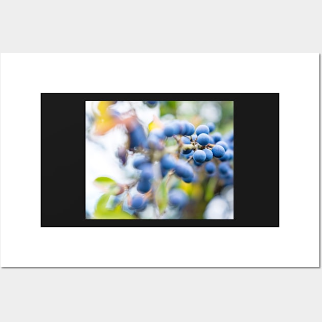 Blackthorn Berries, Peak District Wall Art by geoffshoults